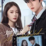 As Scheduled (Wu Jun Ting and Zhao Yao Ke) Chinese Drama