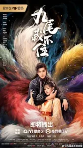 Eternal Love of the Fox Chinese Drama