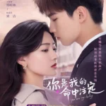 You Are My Destiny best romance chinese drama